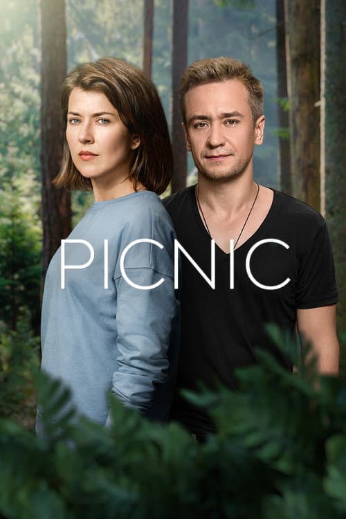 Picnic poster