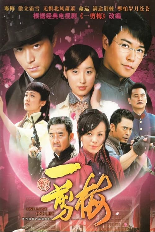 New Spring of Plum Blossoms poster
