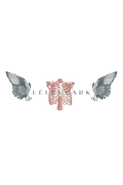 SoulPark poster