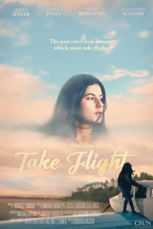 Take Flight poster