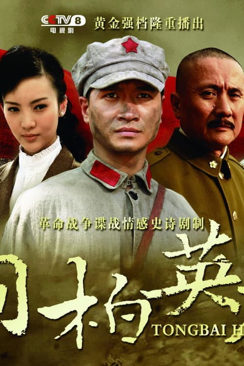 桐柏英雄 poster