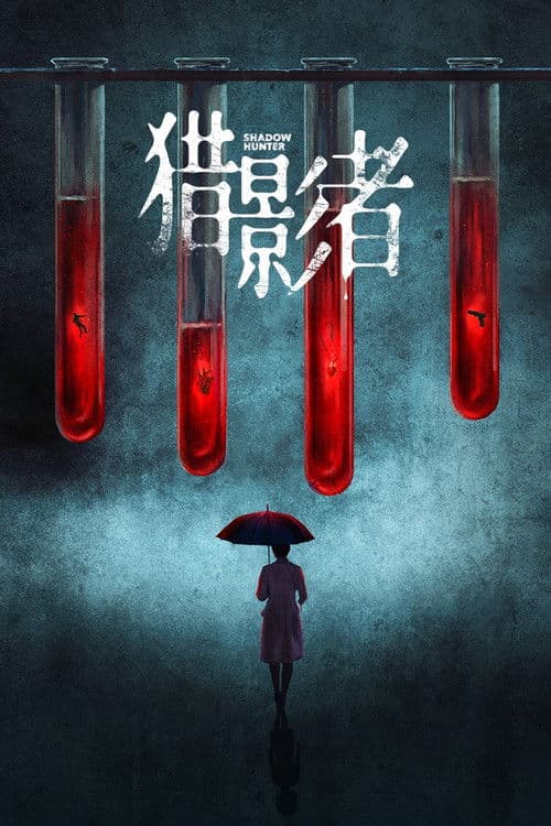 Shadow Hunter poster
