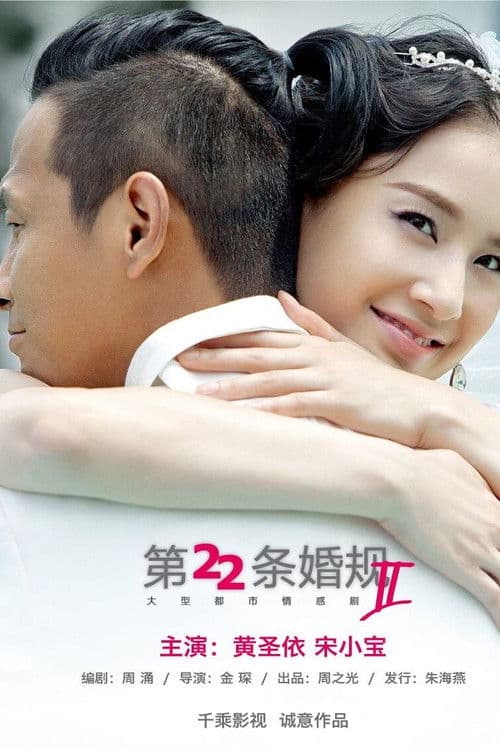 第22条婚规2 poster