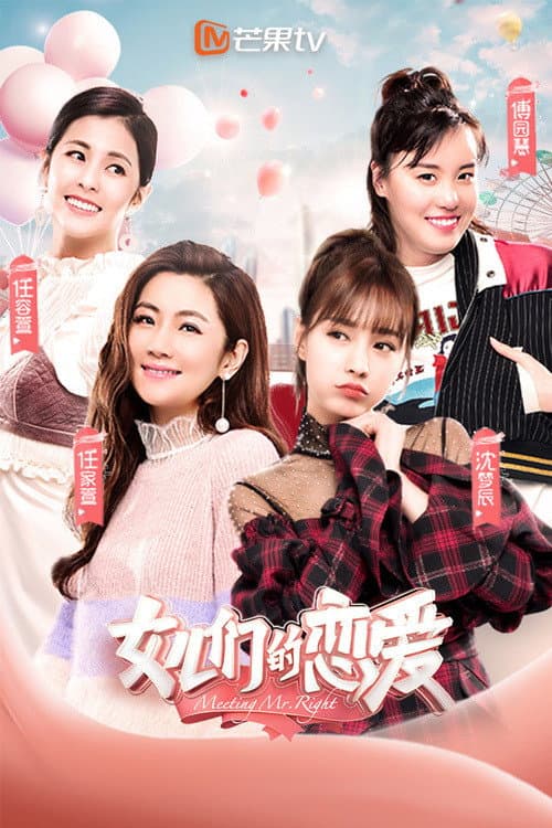 Meeting Mr. Right poster