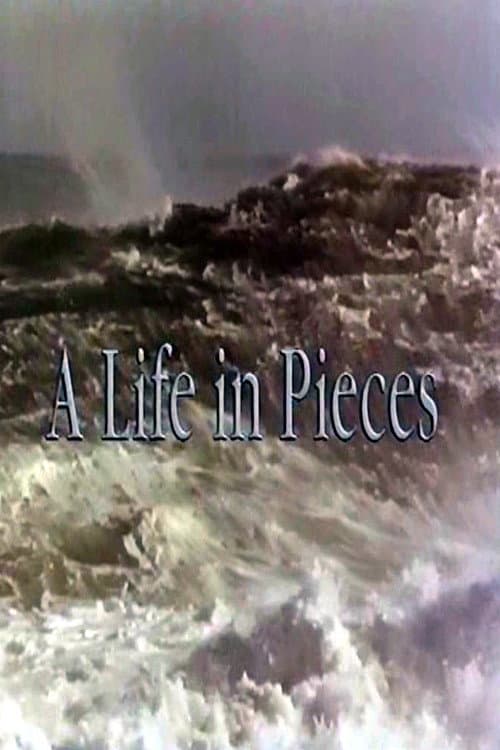 A Life In Pieces poster