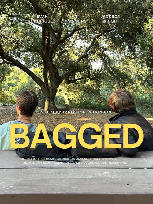 Bagged poster