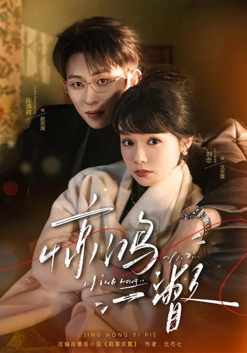 惊鸿一瞥 poster
