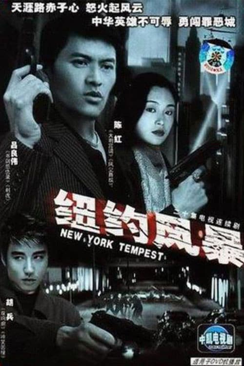 纽约风暴 poster