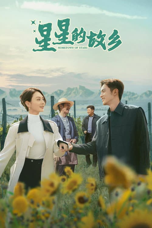 Hometown of Stars poster