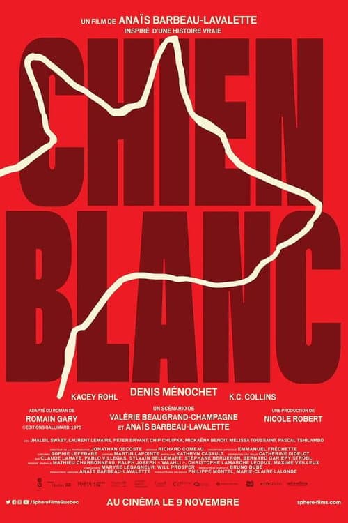 White Dog poster
