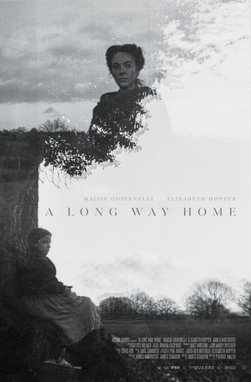A Long Way Home poster