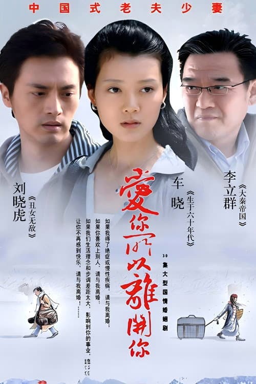 爱你所以离开你 poster