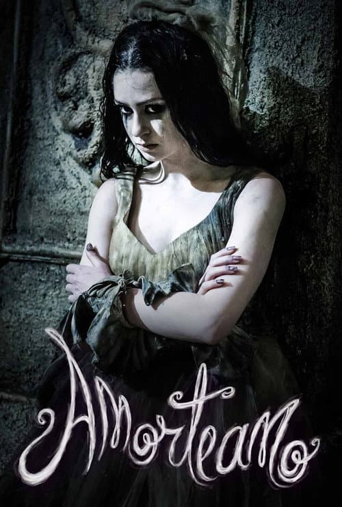 Amorteamo poster