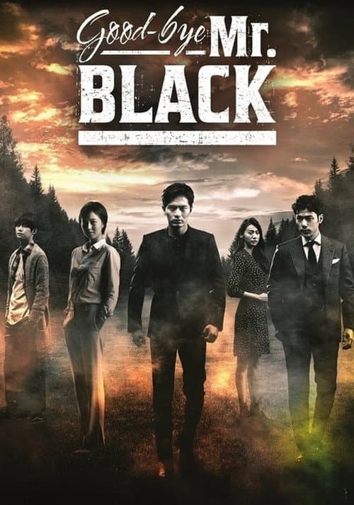 Goodbye Mr. Black poster