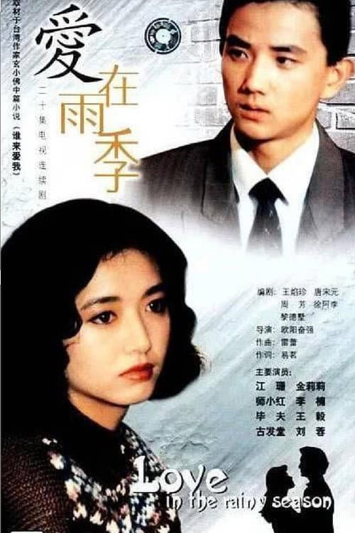 爱在雨季 poster