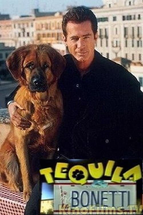 The New Adventures of Tequila & Bonetti poster