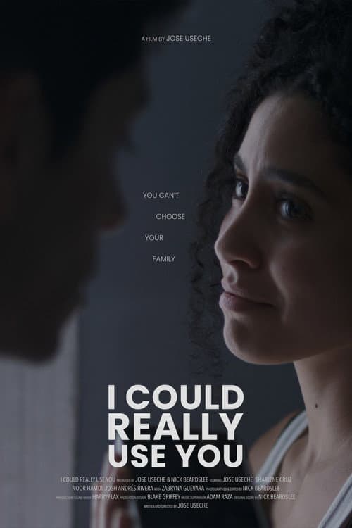 I Could Really Use You poster