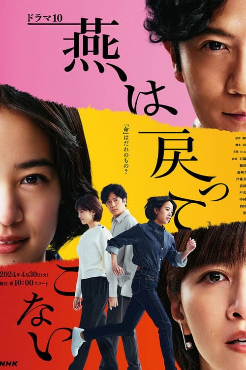 The Swallows Don't Come Back poster