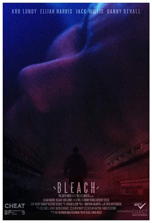 Bleach poster
