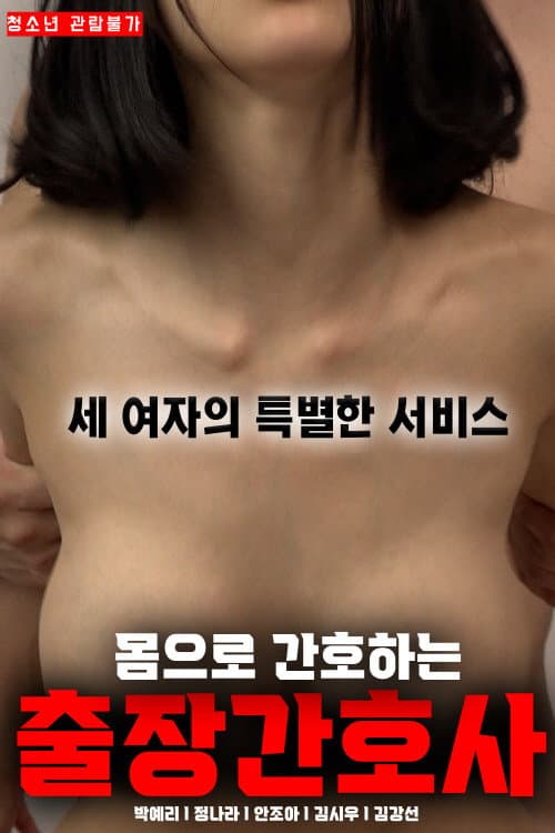 A Travelling Nurse Who Cares For the Body poster