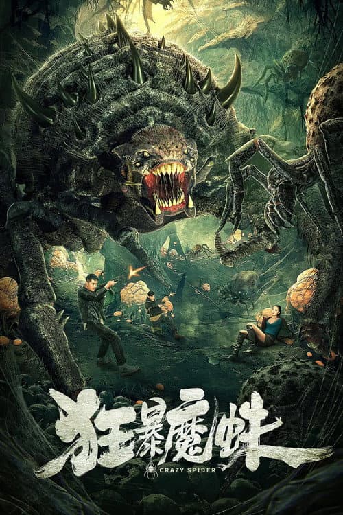 Crazy Spider poster