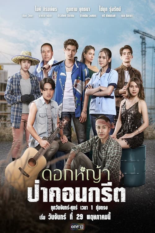 A Wildflower in the City poster