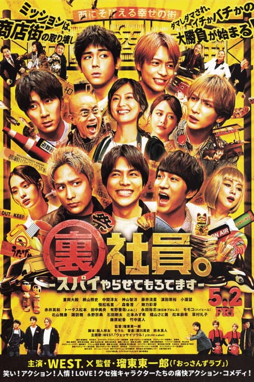 Mission: Sorta Possible poster