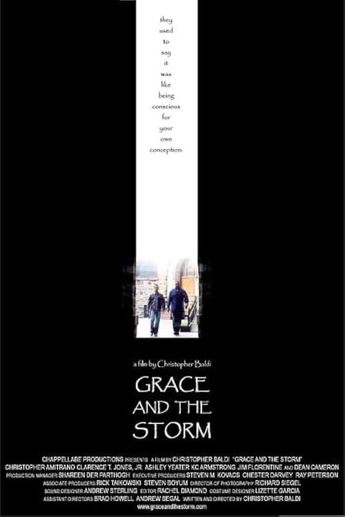 Grace And The Storm poster
