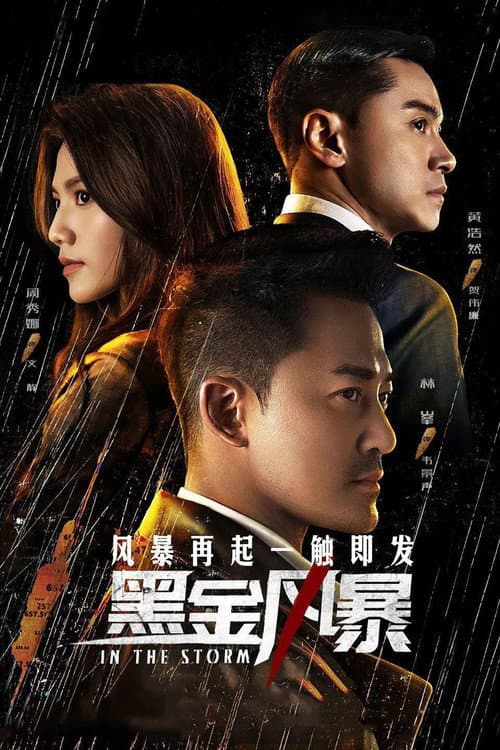 In the Storm poster