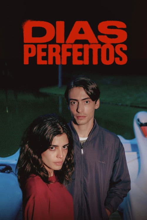 Perfect Days poster