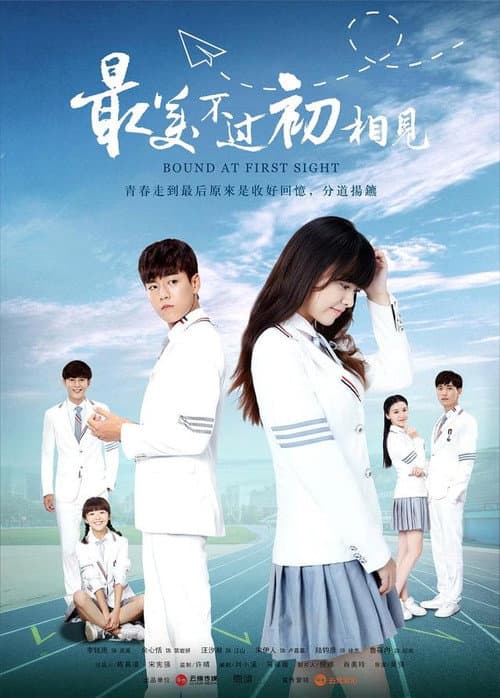 Bound at First Sight poster