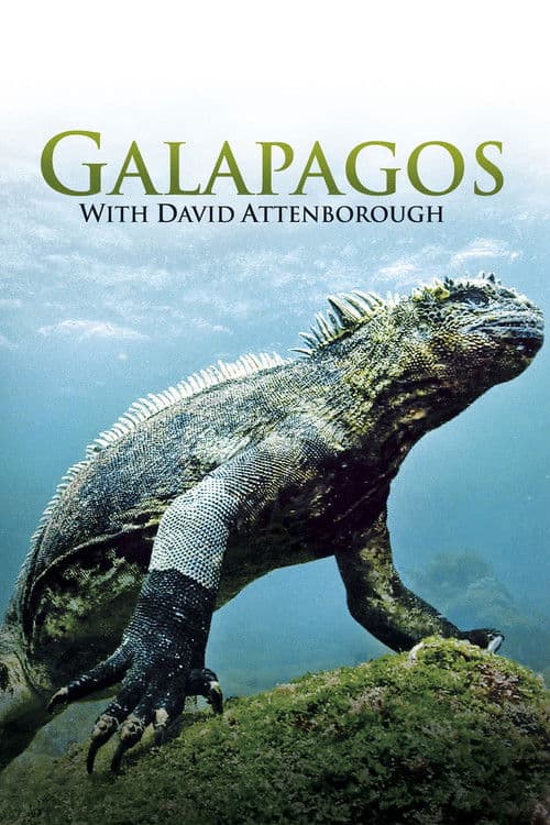 Galapagos 3D with David Attenborough poster