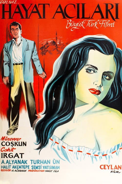 Hayat Acıları poster