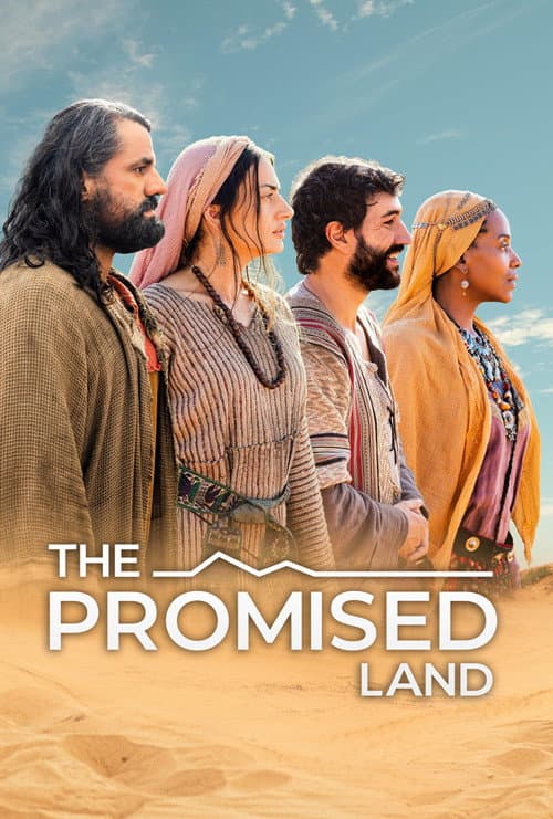 The Promised Land poster
