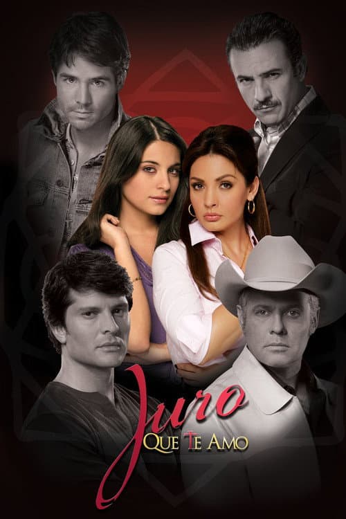 Oath of Love poster