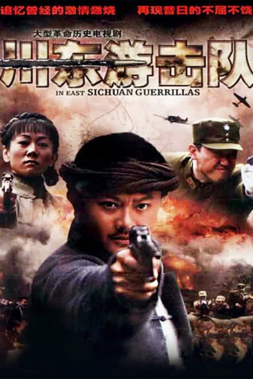 川东游击队 poster