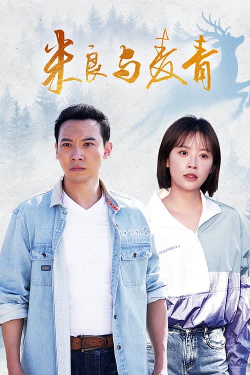 Home to Harvest poster
