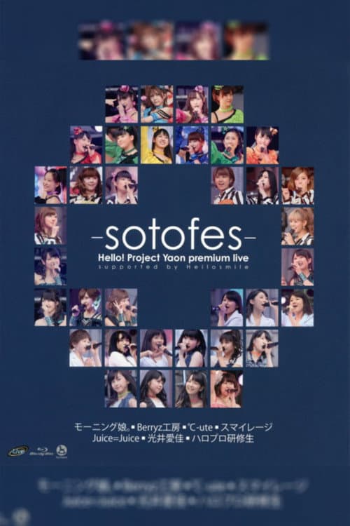 Hello! Project 2013 Spring Yaon Premium LIVE ~Soto Fes~ poster