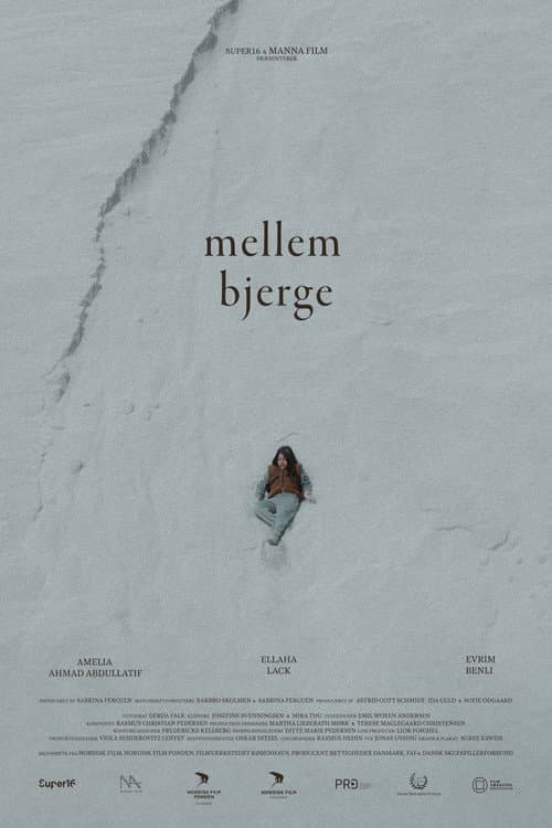 Mellem Bjerge poster