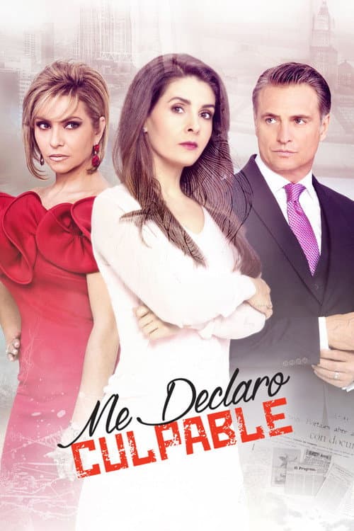 Me declaro culpable poster