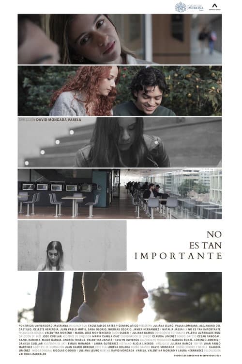 No es tan importante poster