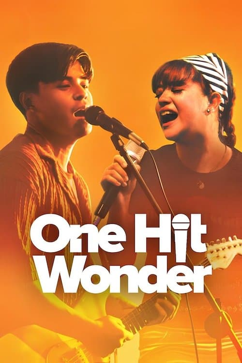 One Hit Wonder poster