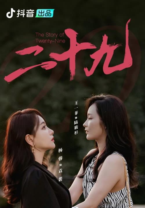 The Story of Twenty-Nine poster