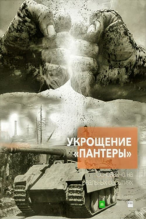 Укрощение «Пантеры» poster