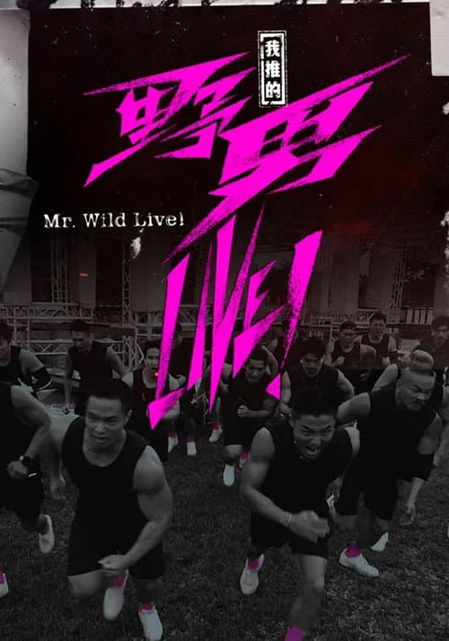 我推的野男LIVE! poster