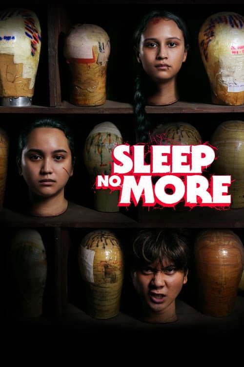 Sleep No More poster