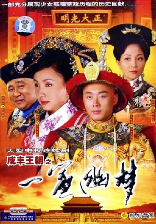 咸丰王朝之一帘幽梦 poster