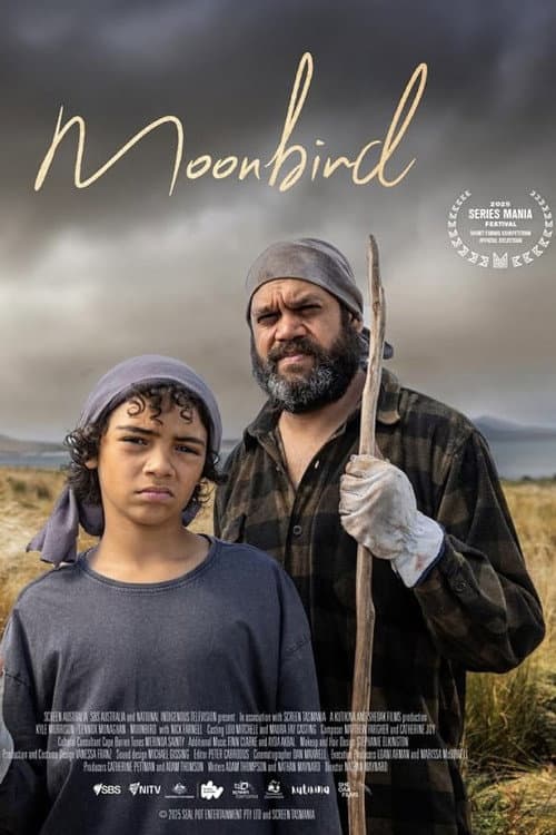 Moonbird poster