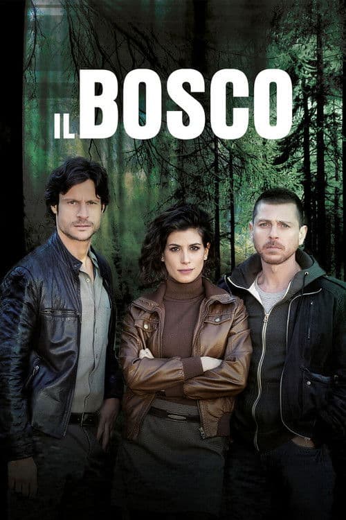 Il Bosco poster