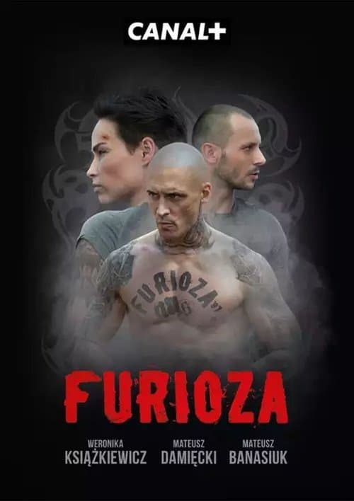 Furiosis poster